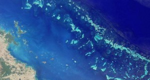 Great Barrier Reef Trust Discussion Paper Published