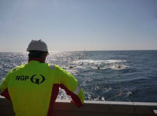WGP Group to Perform Seismic Survey in North Sea