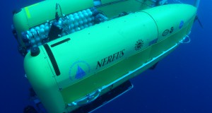 graphics-caymans_nereus-dive2-P1010026