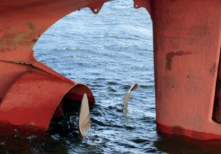 All four blades of the bulker needed to be cropped.