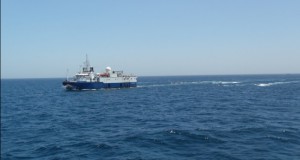 BGP Challenger Completes 2D Survey for Spectrum Off Namibia