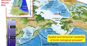 Planktons Expanding in Arctic Basin, JAMSTEC Finds