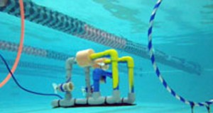 SeaPerch
