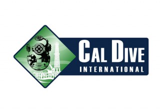 Cal Dive's Chief Financial Officer Quits