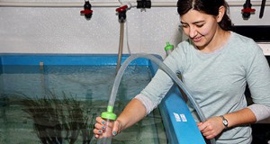 MBARI Exhibits Vampire Squid and Other Deep-Sea Cephalopods