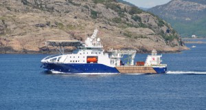 Norway 'Stril Server' Leaves Simek