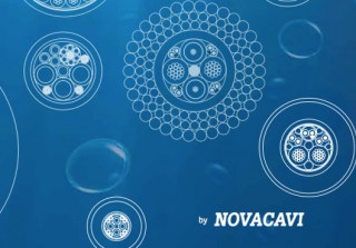 Novacavi Grows Further In Subsea Cable Sector
