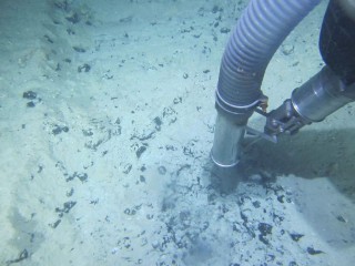 CRP Welcomes Number of Marine Consent Application Submissions