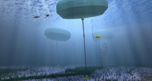Carnegie's Perth Project Remains in Focus in Q2, CETO 6 Progresses