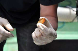 Odyssey Reveals Inventories of Items Recovered from SS Central America