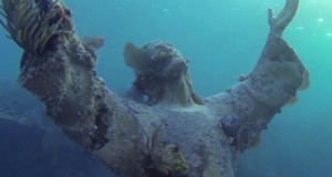 ROV