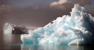 Rosneft to Conduct Ecologic Fishery Research in Laptev Sea