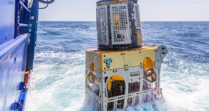 Tidewater Subsea Orders Two UHD-III ROVs from FMC Technologies