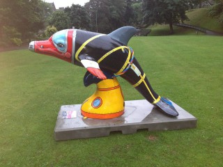 NHC Sponsors 'Wild Dolphin' Project, UK