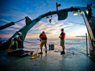 CTD_550_354895