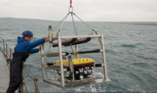 Scotland's Marine Energy Valued at $82 Bln by 2050