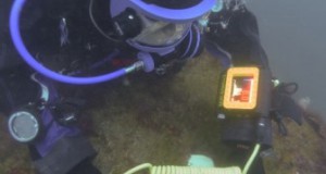 DIVE