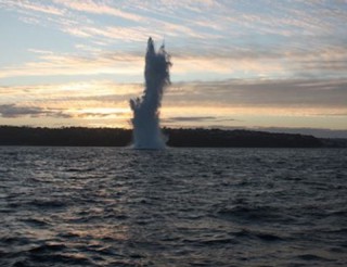 6 Alpha Associates Provides UXO Consultancy for TenneT.