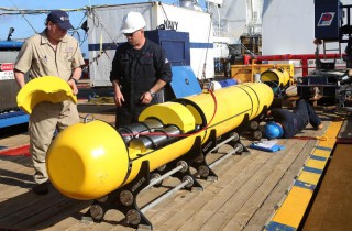Bluefin 21 Photo