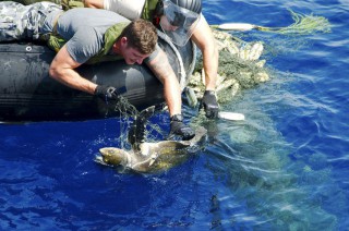 HMAS Diamantina Rescue Trapped Turtles