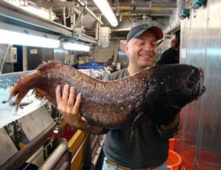 NSU Gets Funding for Oil Spill Research.