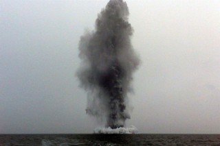 TenneT Seeks Contractor for DolWin3 Underwater Ordnance Removal