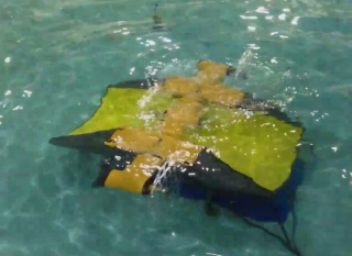 VIDEO: Subhub Trials at Flowave