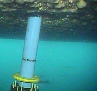 First Subsea Cable Connectors for Phase 2 Fukushima FORWARD