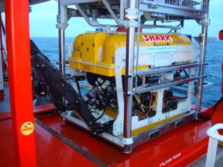 OMV Hires Shark SRL for Subsea Services