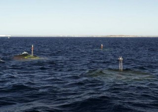 The three unit CETO 5 array operating off Garden Island, Western Australia