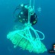 VIDEO Navy Divers Remove UXOs in Mediterranean Sea