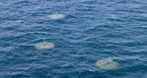 Carnegie Prepares for First CETO 5 Unit Maintenance