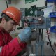 Gardline Merges Services