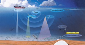 Tesla Offshore Gets New VP