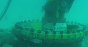 SRP Rocksteady Provides Seabed Connection for CETO Units