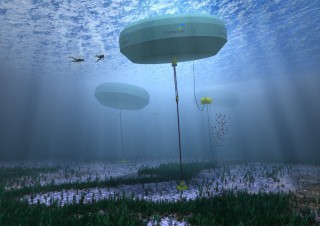 Carnegie Sets Up Cornwall Base