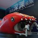 China Launches Research Center for Rainbow Fish Submersible