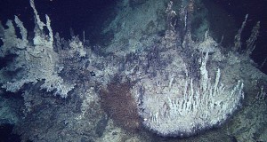 MBARI Discovers Unknown Hydrothermal Vents in Gulf of California
