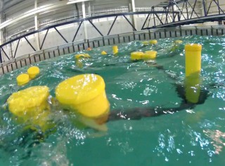 New Grant for Tidal Energy Development
