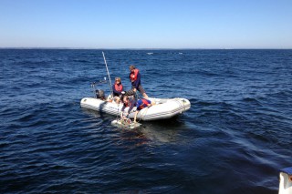 Scientists Take Closer Look at Eckernförde Bay
