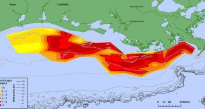 2015 GoM Dead Zone Larger than Predicted