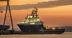 PHOTO Cemre Delivers Ocean Dolphin