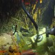 WATCH HMS Hood Bell Recovery