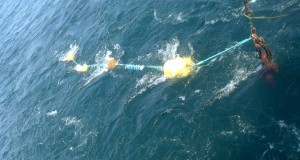 Cefas Heads Research of Underwater Noise Impact