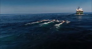 Polarcus in New Australia Shoot