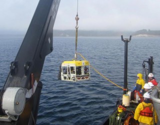 ROVs Remove Dangerous Fishing Nets from Deep Waters