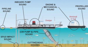 HELCOM Hosts Experts Network on Underwater Noise