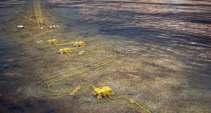 PSA Probes Gjøa Flexible Risers