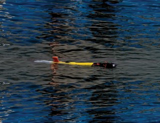 REMUS 100; Photo: Hydroid
