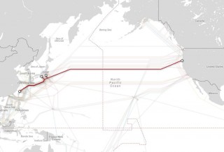 Photo: TeleGeography